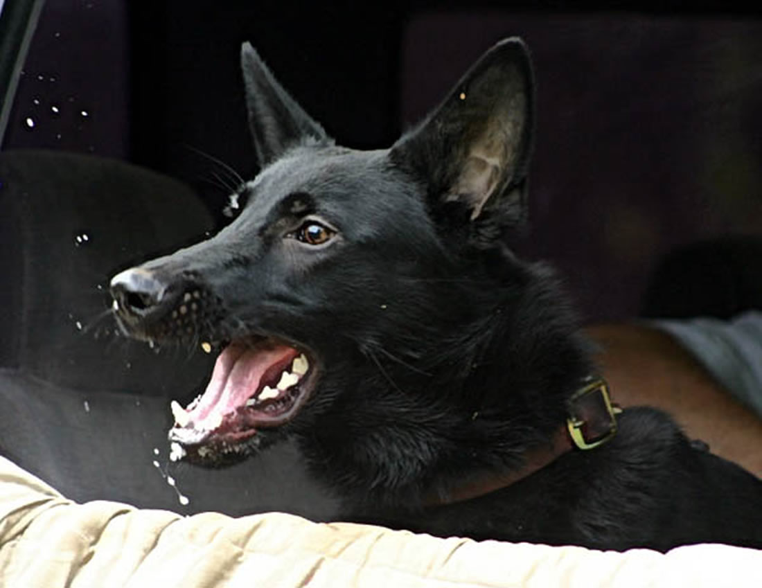 Pin On Carbon Von Schneiden Fels Coal