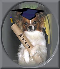 Educated Dog